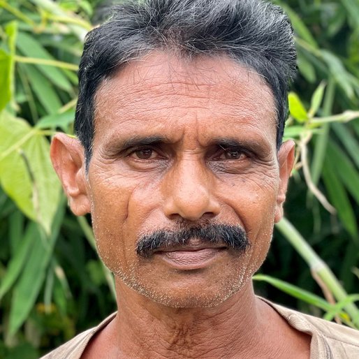 Balubhai Rathva is a Farmer (cultivates cotton, peanuts, maize and <em>bajra</em>) and makes wooden sculptures and idols from Ganthiya, Chhotaudepur, Chhotaudepur, Gujarat