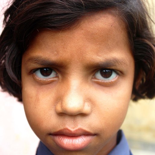 Tiya Hazra is a Class 3 student from Kalitala , Beldanga-I , Murshidabad, West Bengal