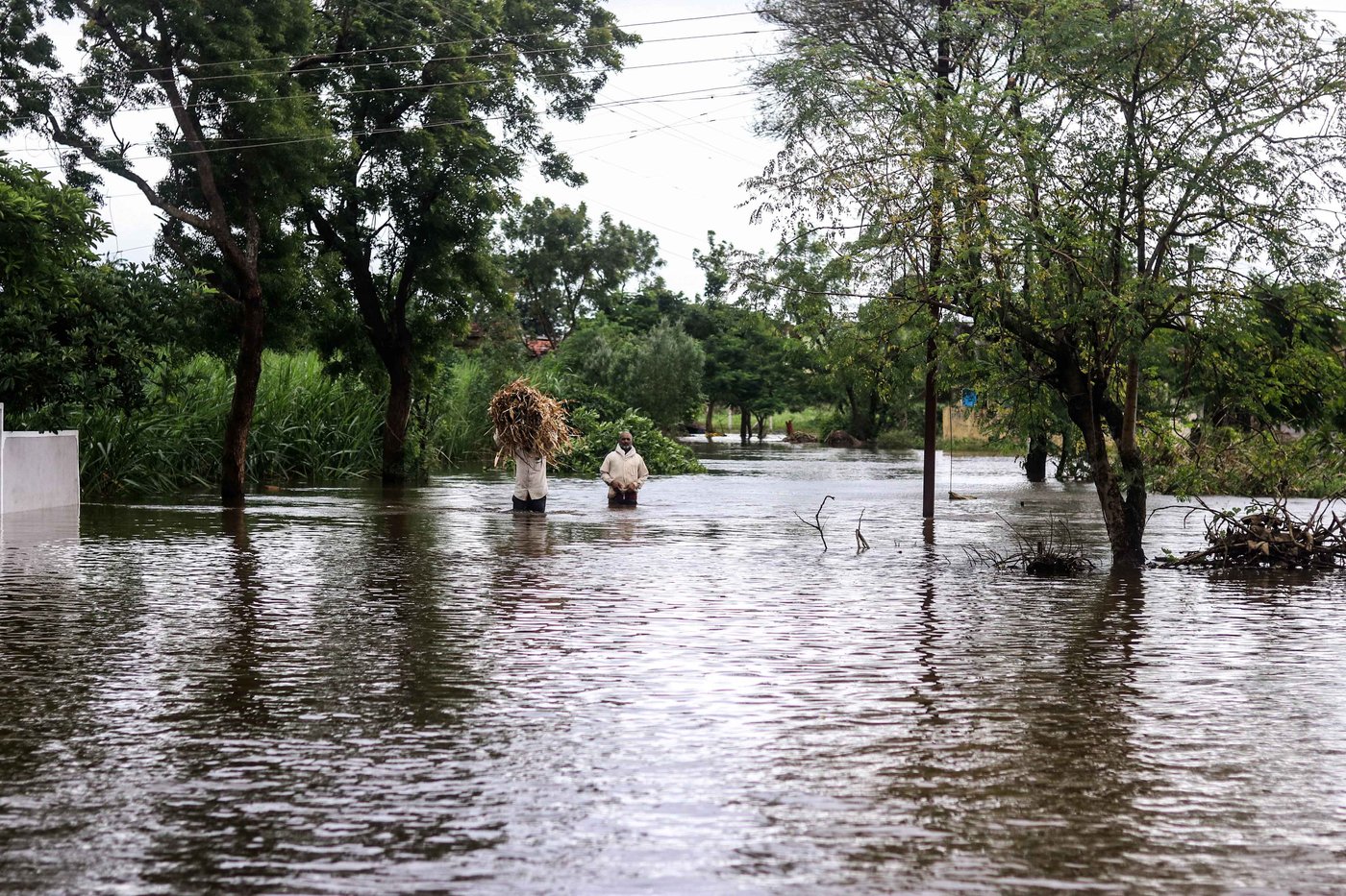 Farmer carrying crops