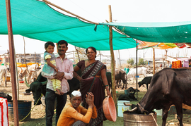 ‘Cattle and birds, both need a lot of water’