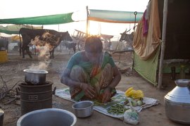 Families separated by the search for fodder