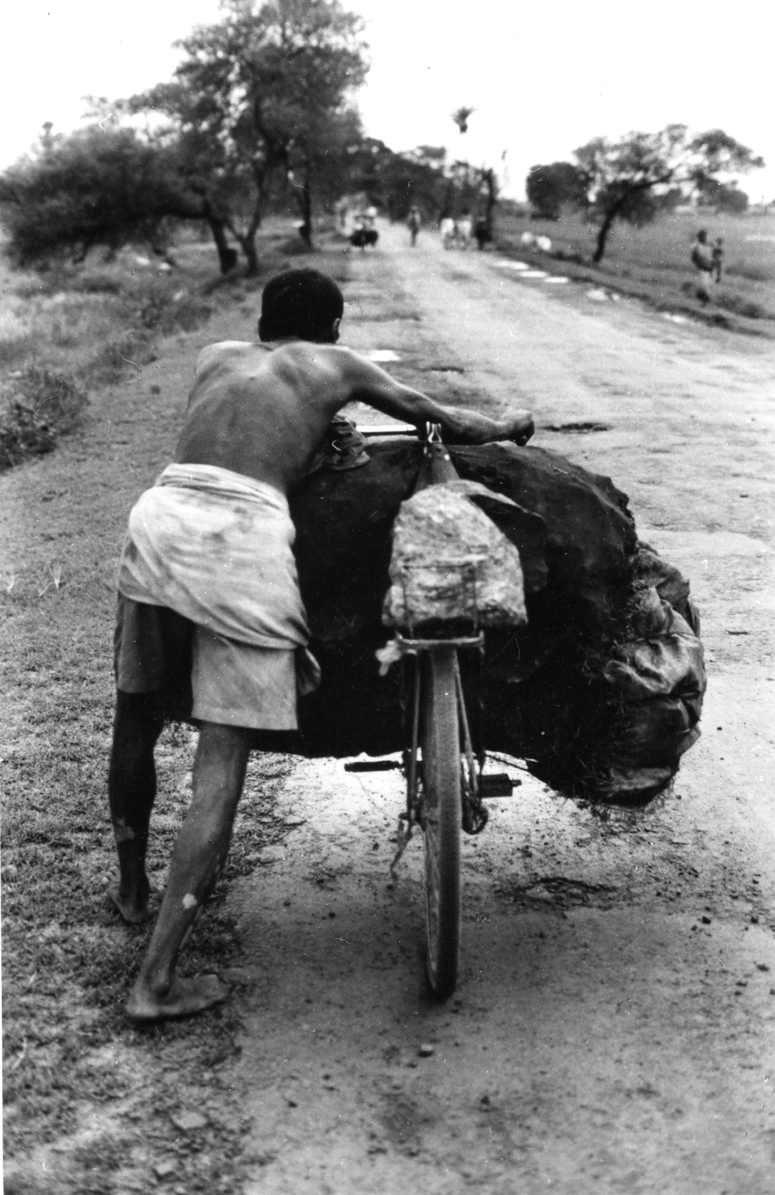 Coal carriers carrying coal from waste dumps 